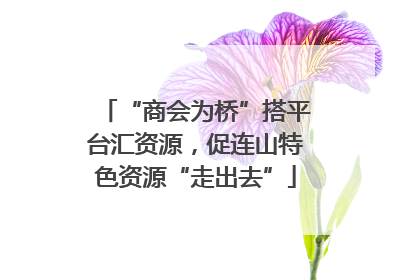 “商会为桥”搭平台汇资源，促连山特色资源“走出去”